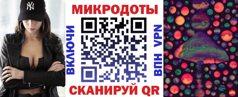 Псилоцибиновые грибы Cubensis  Бакал 
